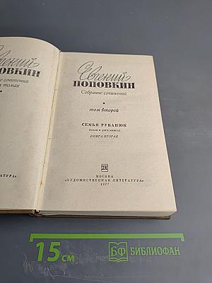 Собрание сочинений. Том второй: Семья Рубанюк. Книга вторая