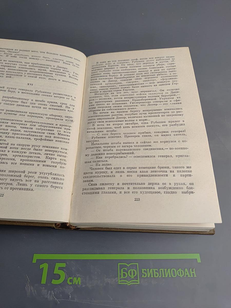 Собрание сочинений. Том второй: Семья Рубанюк. Книга вторая