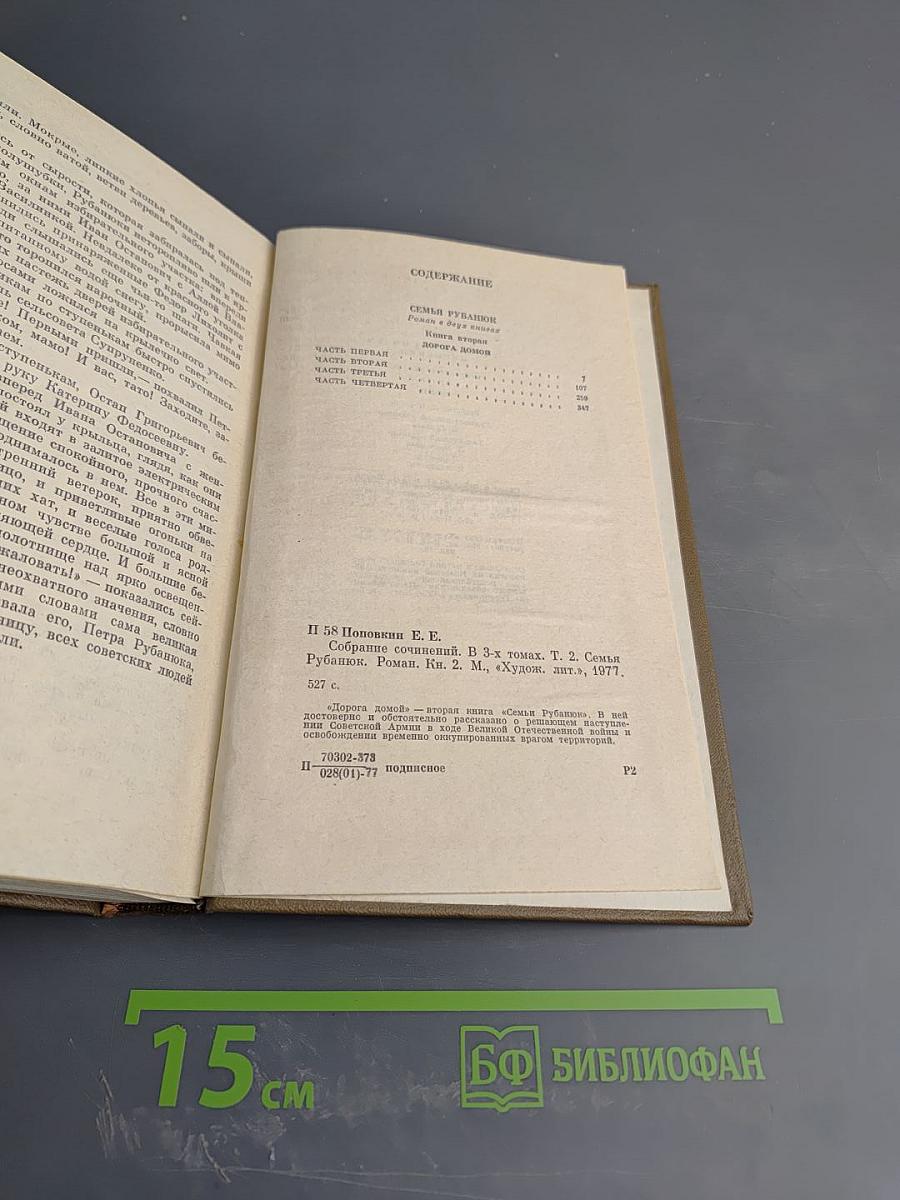 Собрание сочинений. Том второй: Семья Рубанюк. Книга вторая