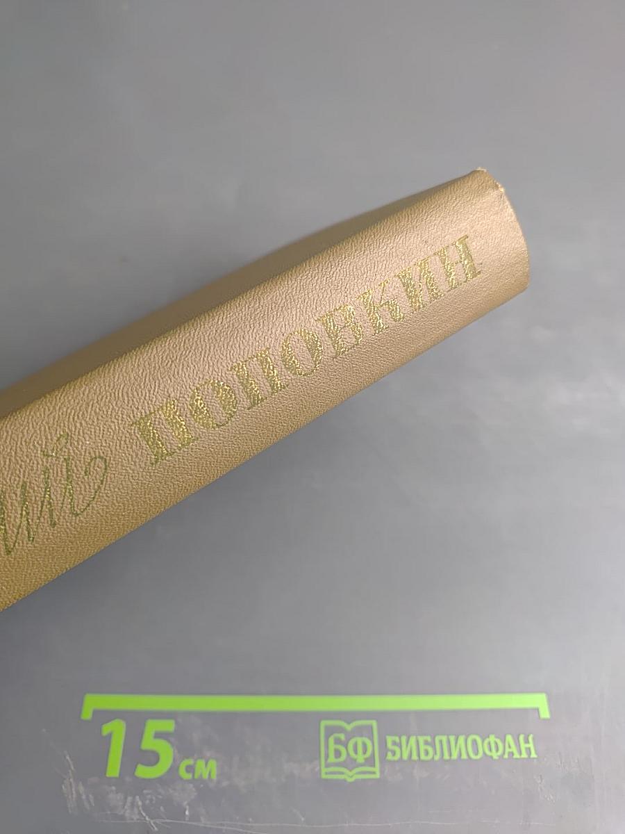 Собрание сочинений. Том второй: Семья Рубанюк. Книга вторая