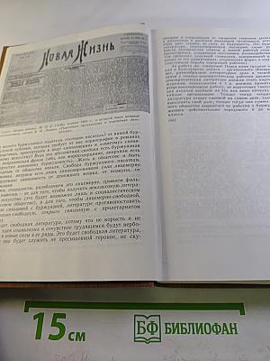 Русская литература XX века. Дооктябрьский период. Хрестоматия