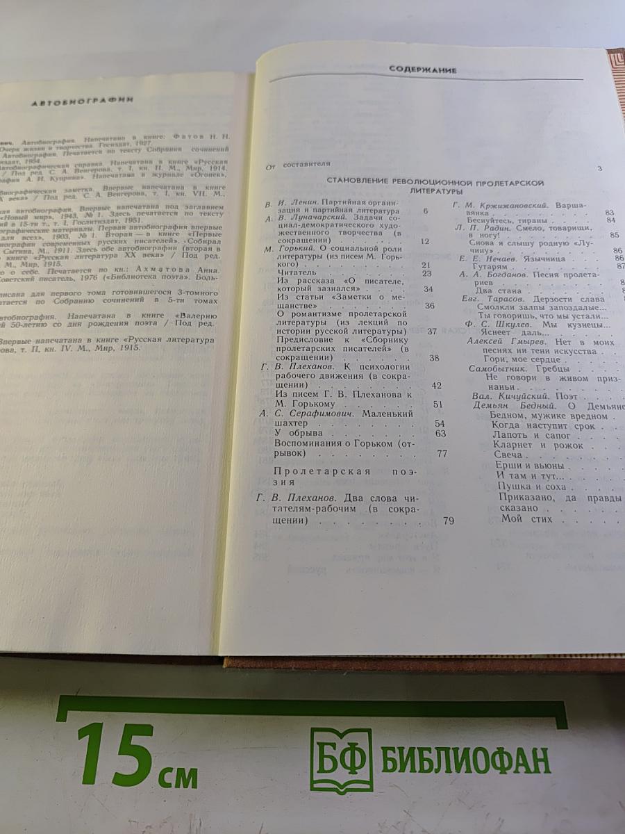 Русская литература XX века. Дооктябрьский период. Хрестоматия