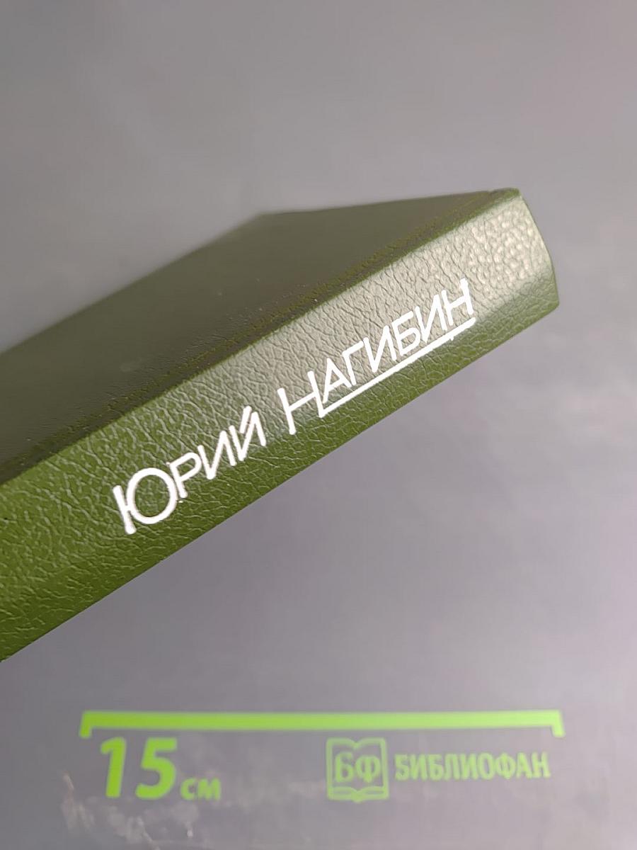Юрий Нагибин. Том восьмой