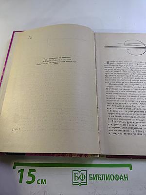 Кто виноват?