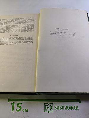 Собрание сочинений в четырех томах. Том 2. Лапти. Подпасок