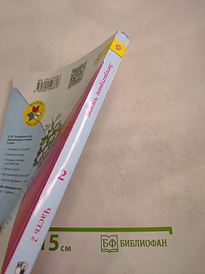 Литературное чтение. 2 класс. Часть 2