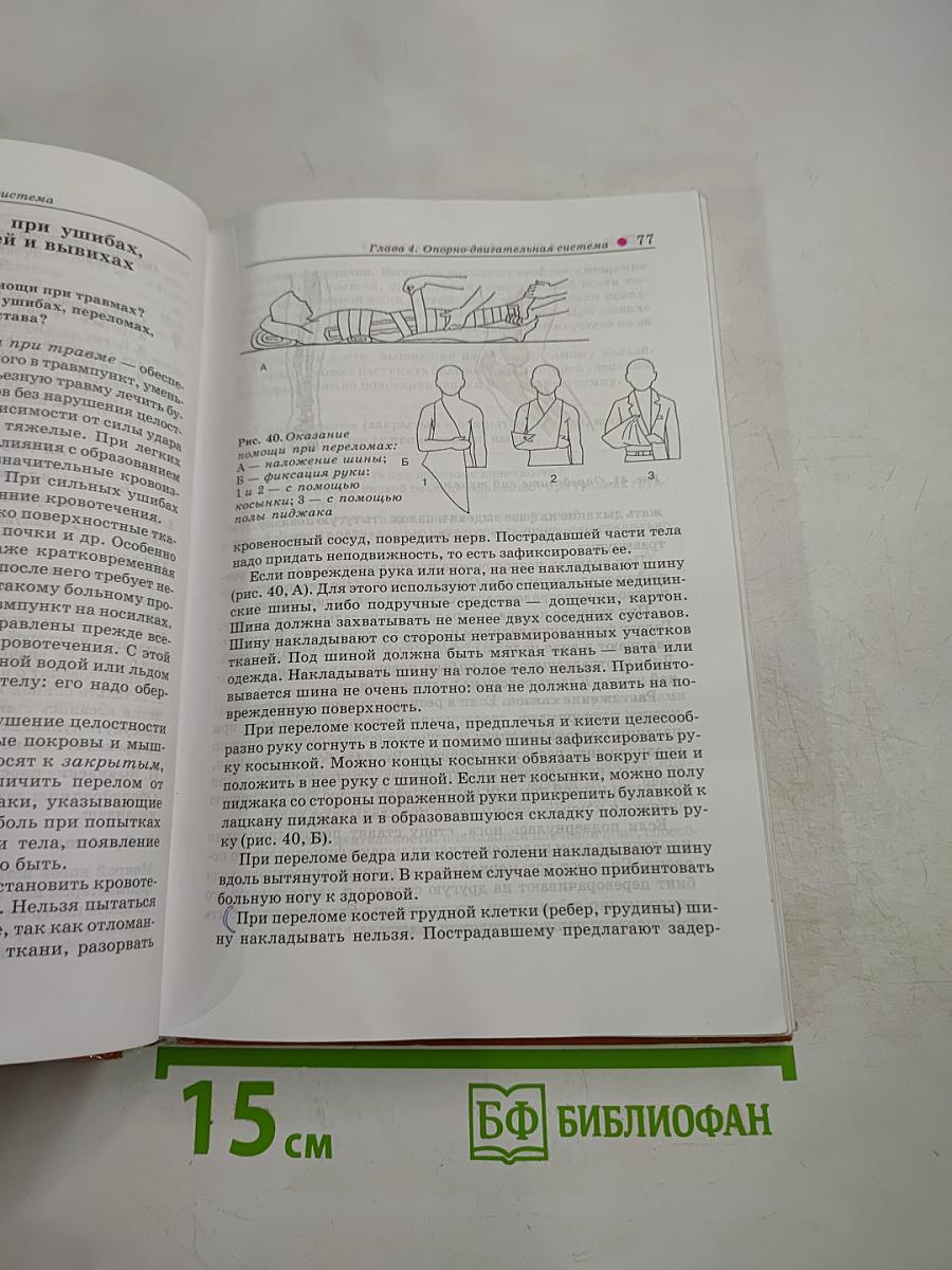 Биология. Человек. 8 класс