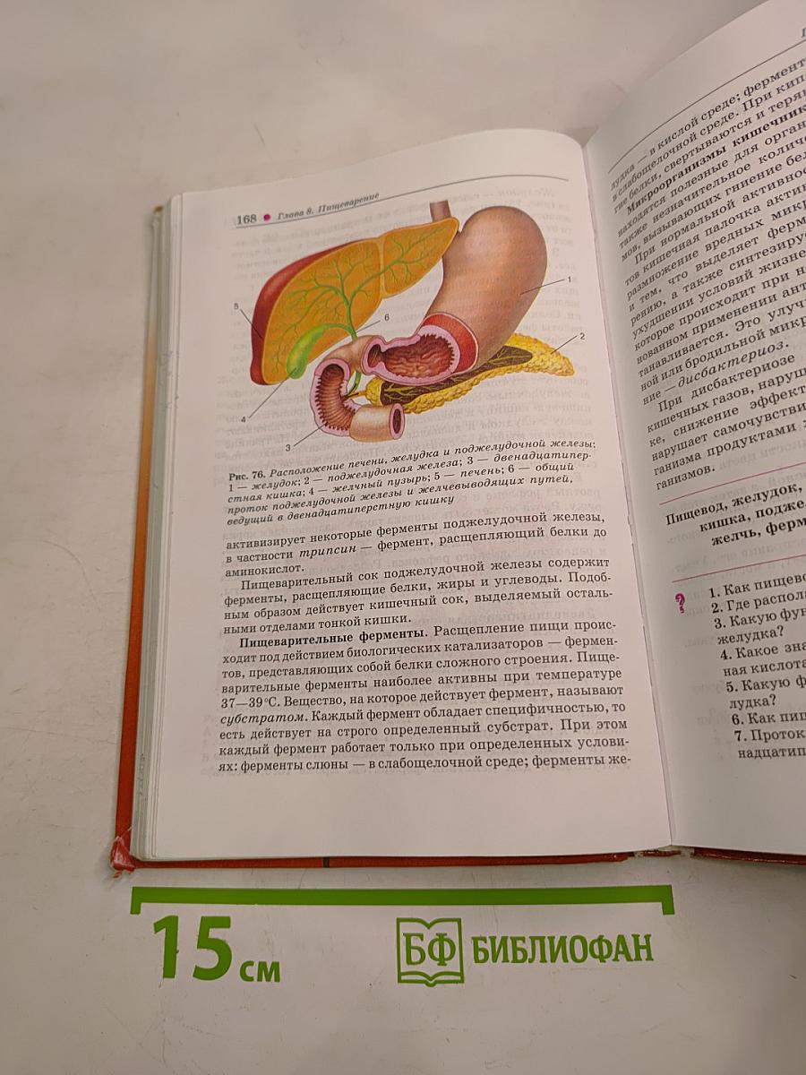 Биология. Человек. 8 класс