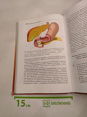 Биология. Человек. 8 класс