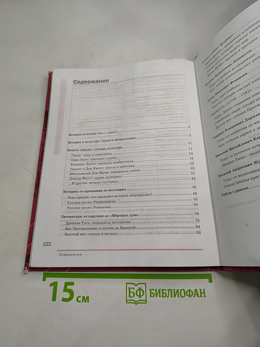 Литература. Учебник для 9 класса. В двух частях. Часть 1