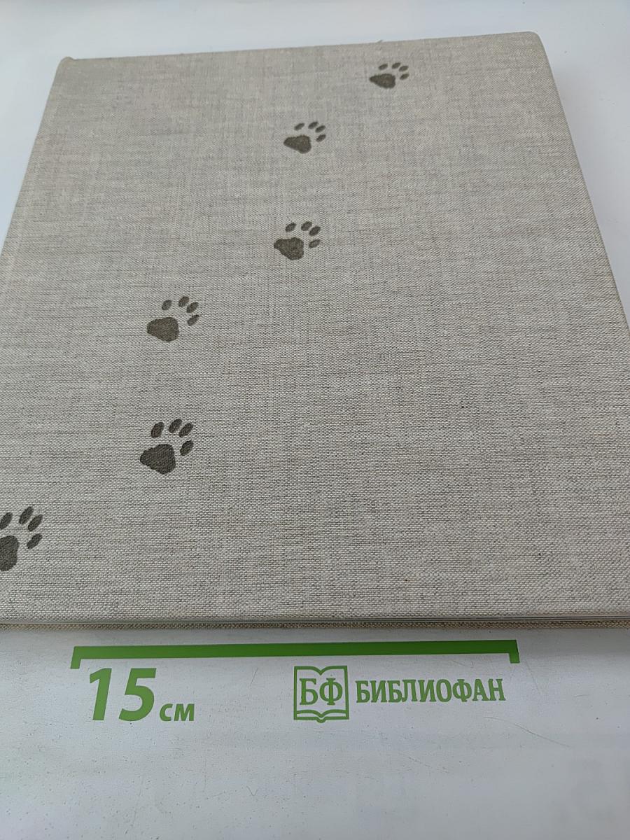 Das große Katzenbuch