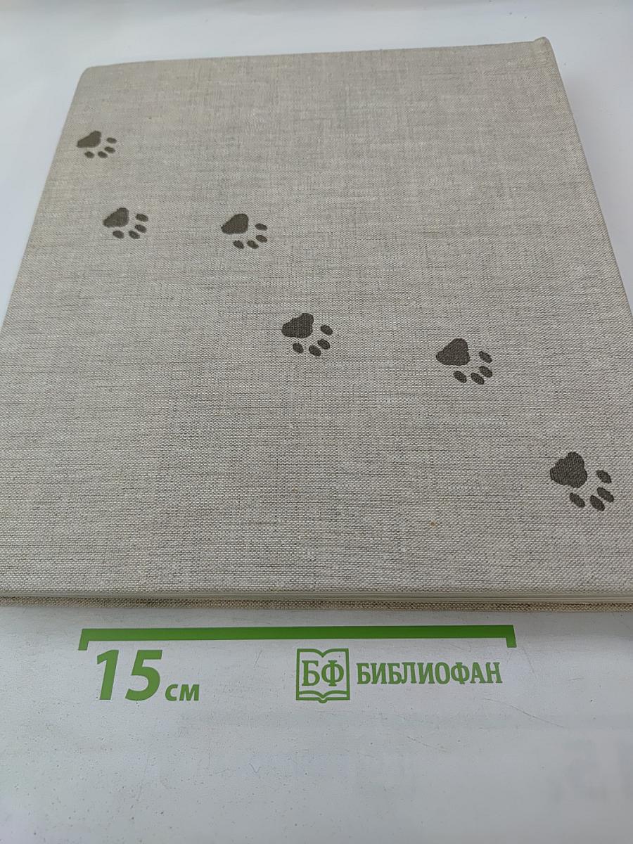 Das große Katzenbuch