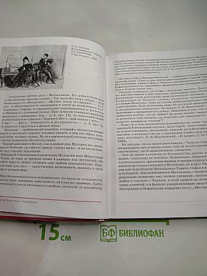 Литература. Учебник для 9 класса. Часть 2