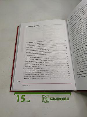 Литература. Учебник для 9 класса. Часть 2