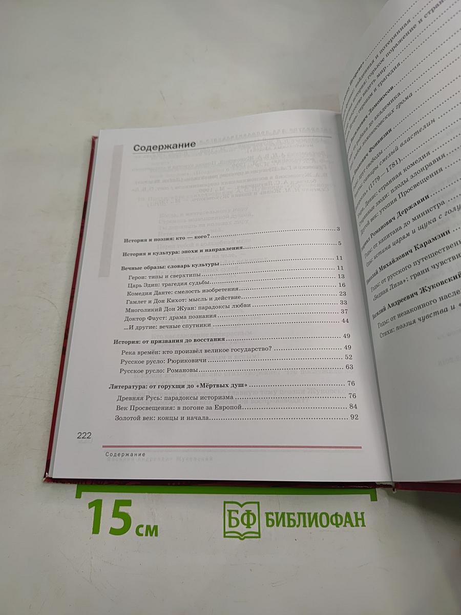 Литература. Учебник для 9 класса. В двух частях. Часть 1