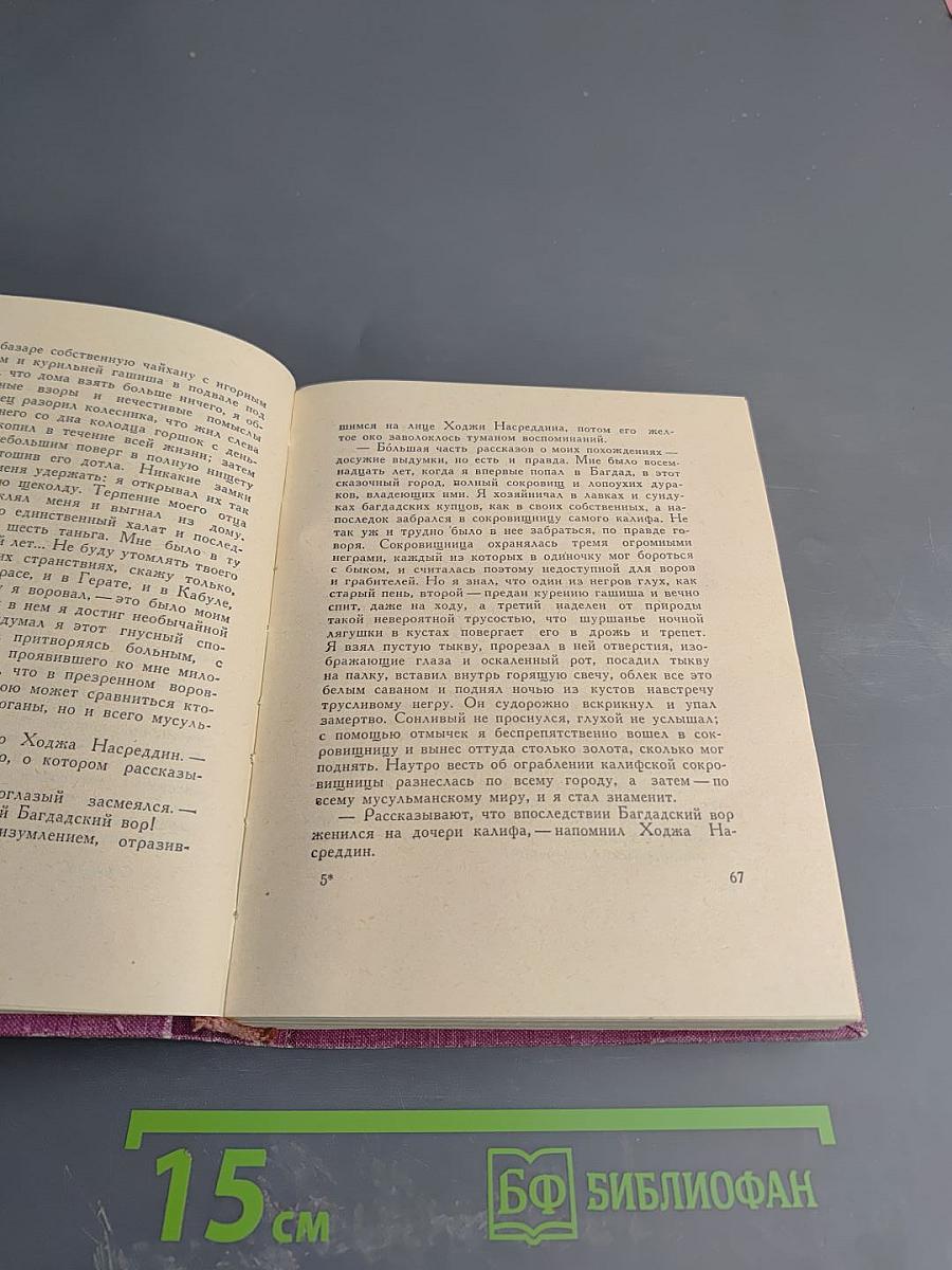 Повесть о Ходже Насреддине. Книга вторая: Очарованный принц