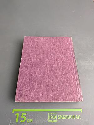 Повесть о Ходже Насреддине. Книга вторая: Очарованный принц