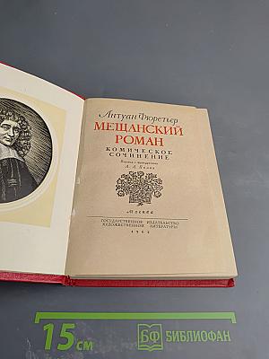 Мещанский роман