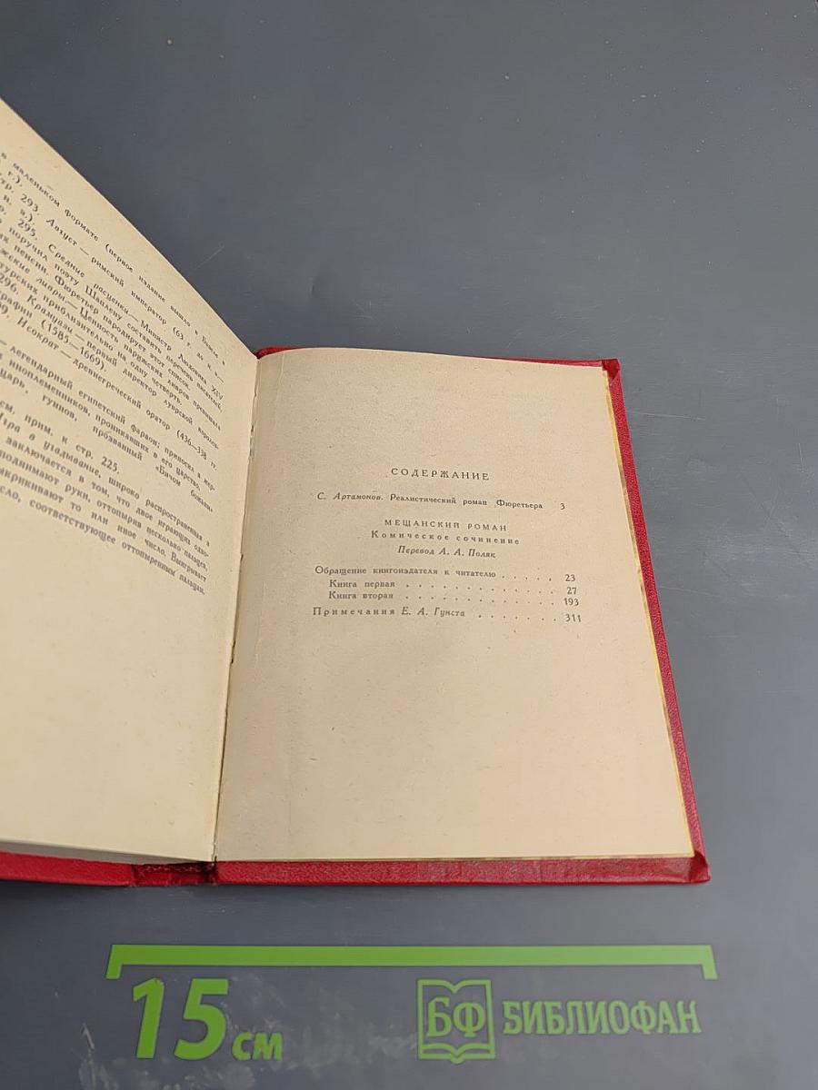 Мещанский роман