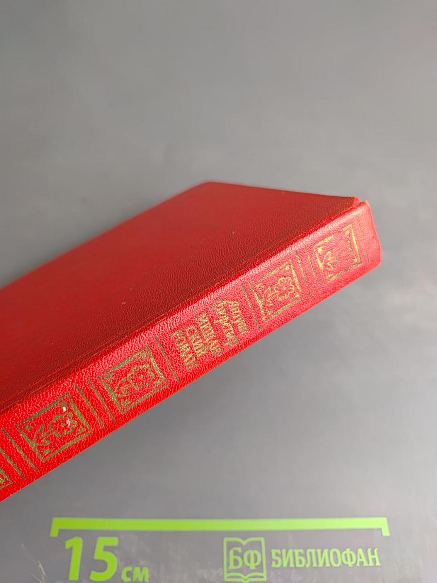 Мещанский роман