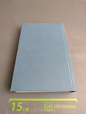 В полдень на солнечной стороне