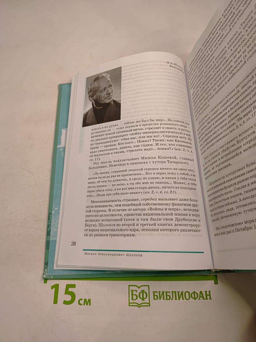 Литература. Учебник для 11 класса (базовый уровень), Часть 2