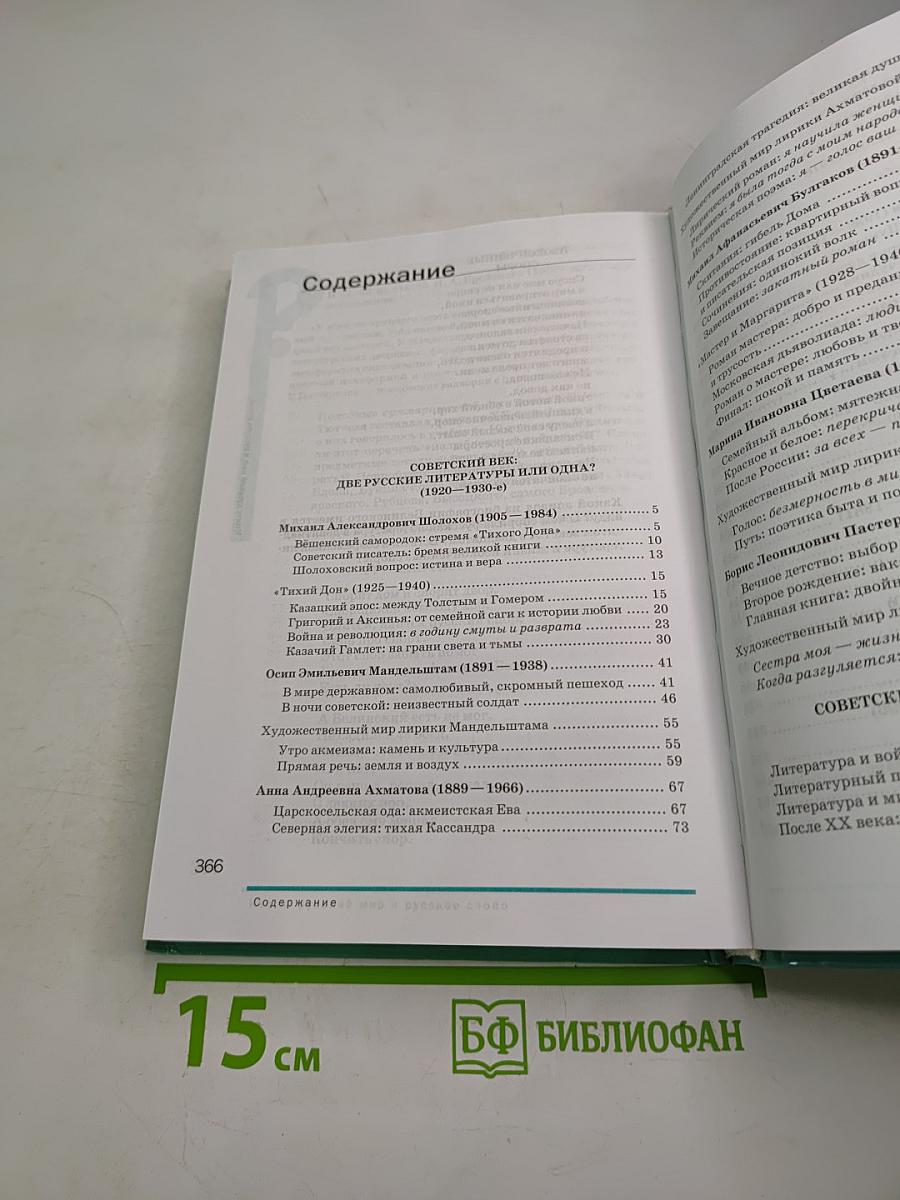 Литература. Учебник для 11 класса (базовый уровень), Часть 2