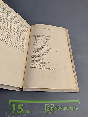 Плавание к югу от Магелланова пролива