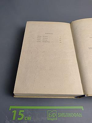 Амур Широкий. Книга III