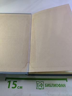 Поэмы. Том второй