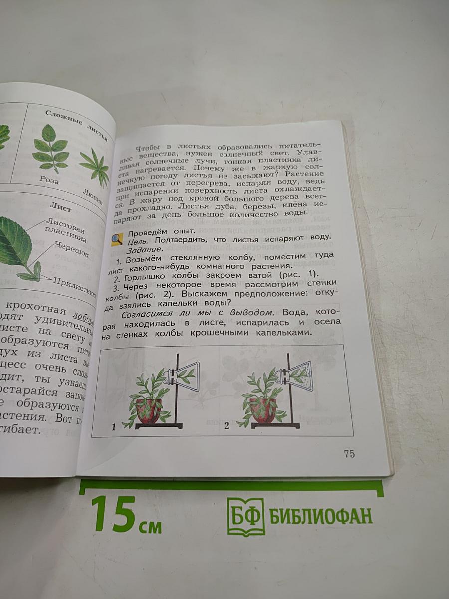 Окружающий мир. 3 класс. Часть первая