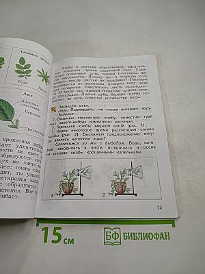 Окружающий мир. 3 класс. Часть первая