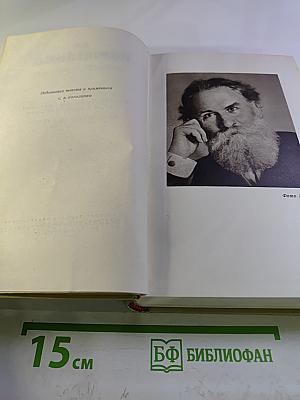 Собрание сочинений. Том восьмой: Литературно-критические статьи и воспоминания. Исторические очерки