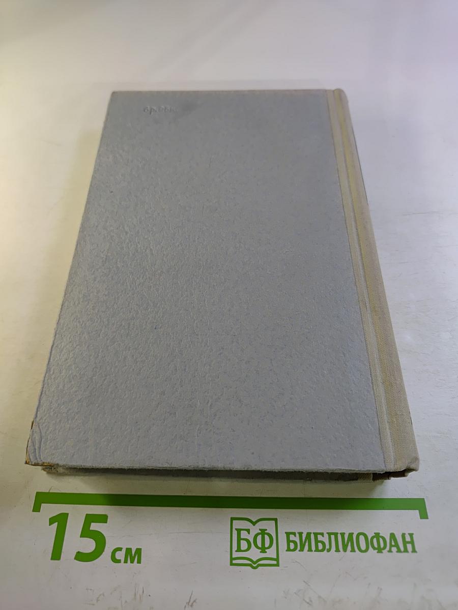 Когда крепости не сдаются, Книга 2