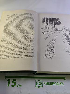 Собрание сочинений. Том четвертый. Очерки. Рассказы. Статьи