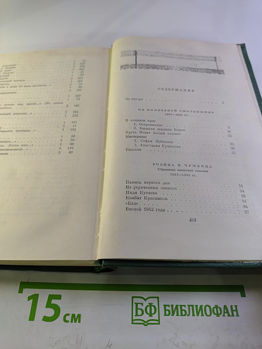 Собрание сочинений. Том четвертый. Очерки. Рассказы. Статьи