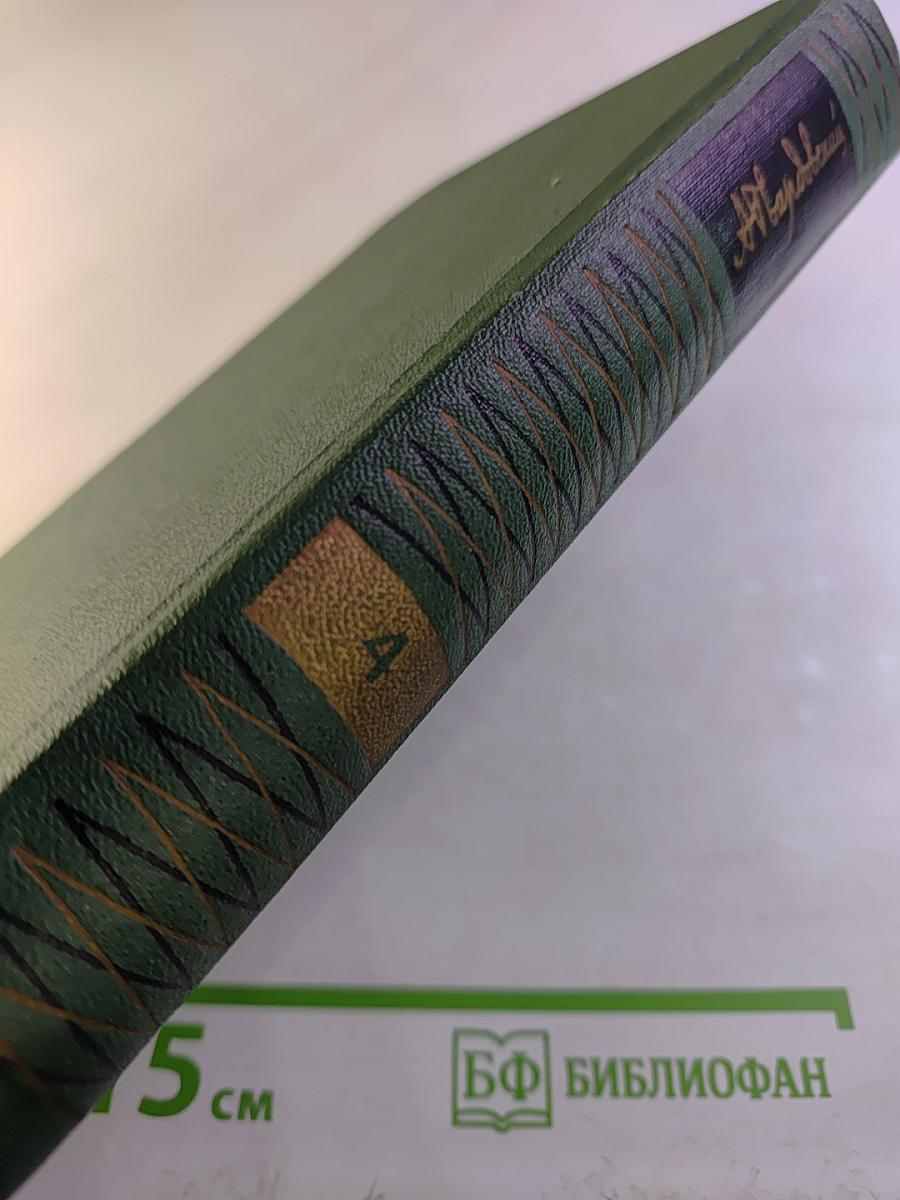 Собрание сочинений. Том четвертый. Очерки. Рассказы. Статьи