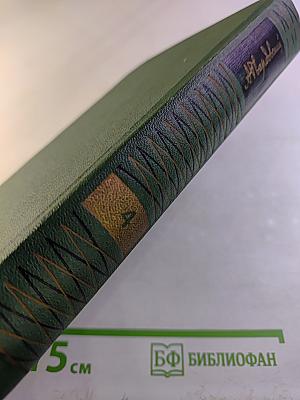 Собрание сочинений. Том четвертый. Очерки. Рассказы. Статьи