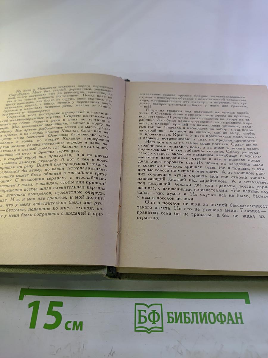 Из книги юности: Рассказы