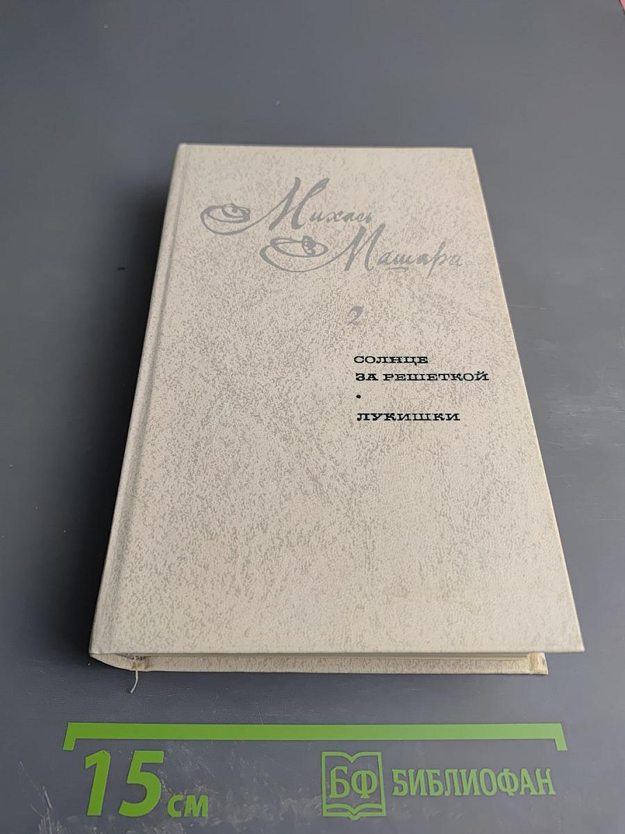 Солнце за решеткой. Лукишки