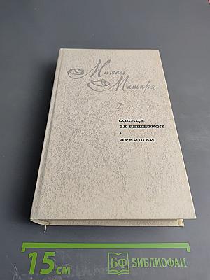 Солнце за решеткой. Лукишки