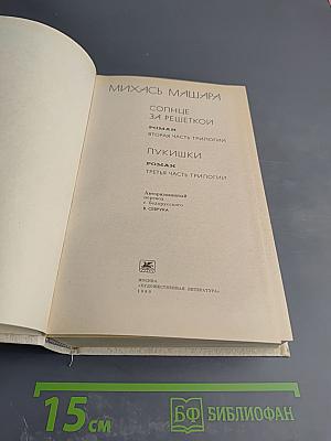 Солнце за решеткой. Лукишки