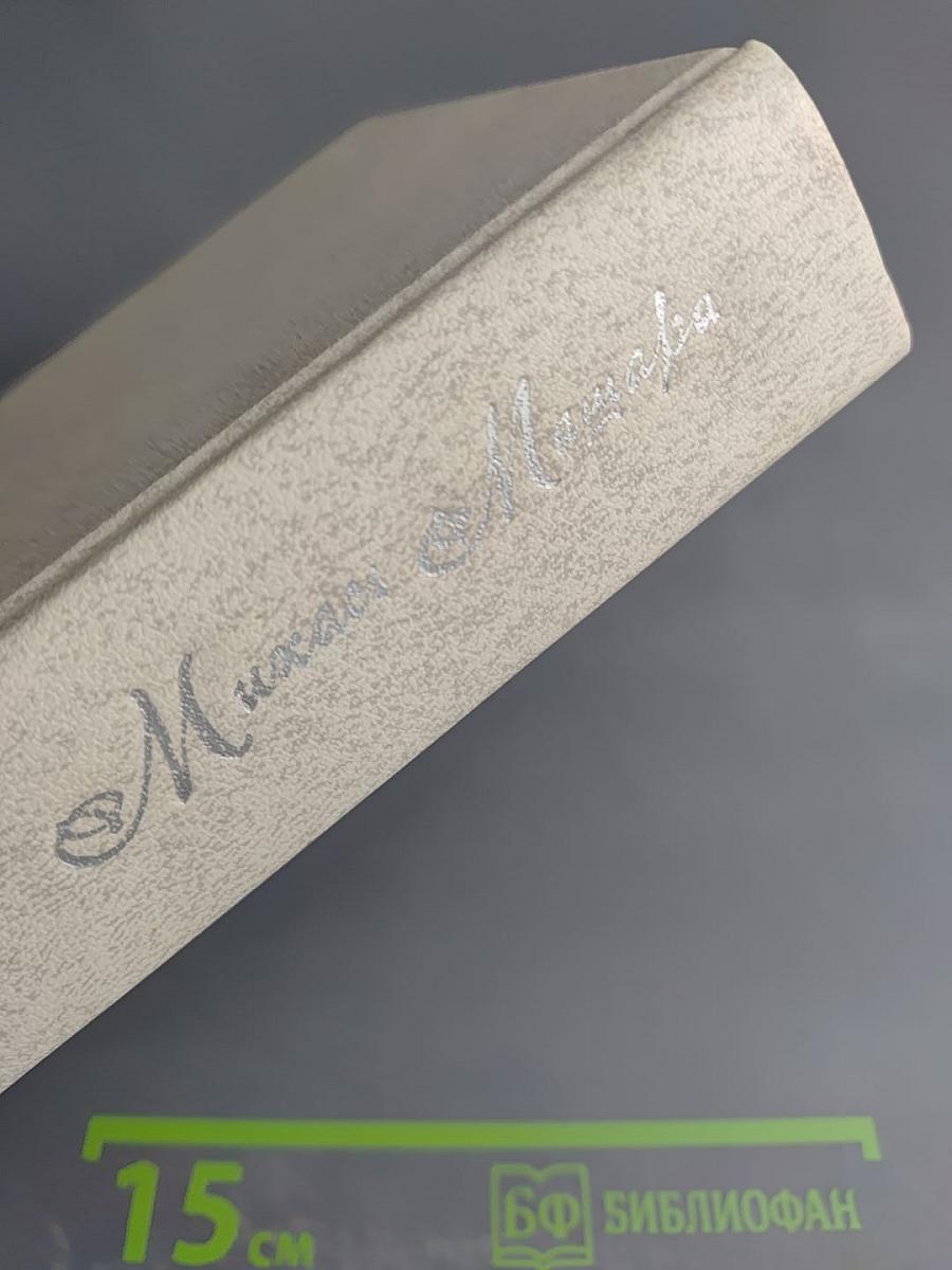 Солнце за решеткой. Лукишки