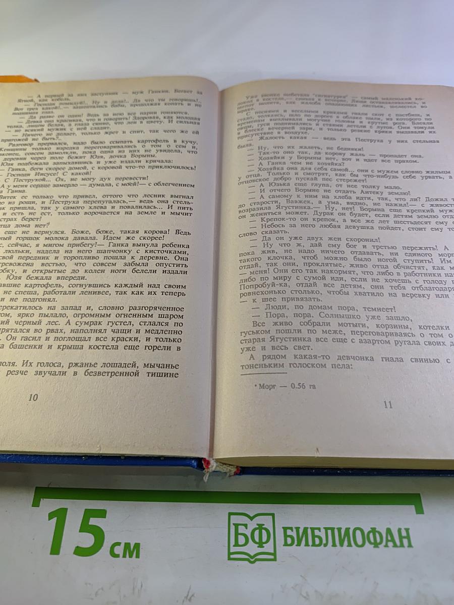 Мужики. Роман в двух томах. Том I