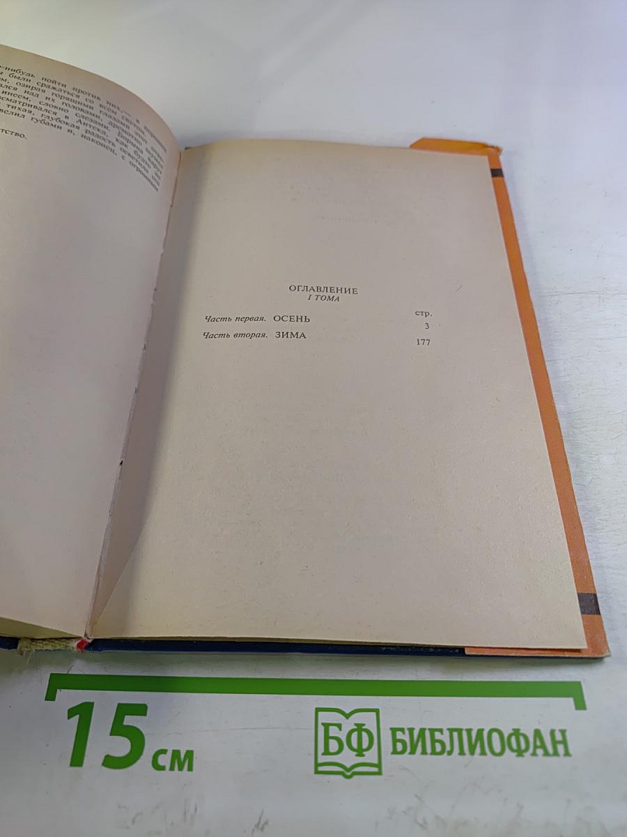 Мужики. Роман в двух томах. Том I