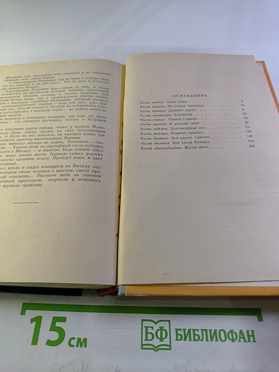 Лена. Книга вторая