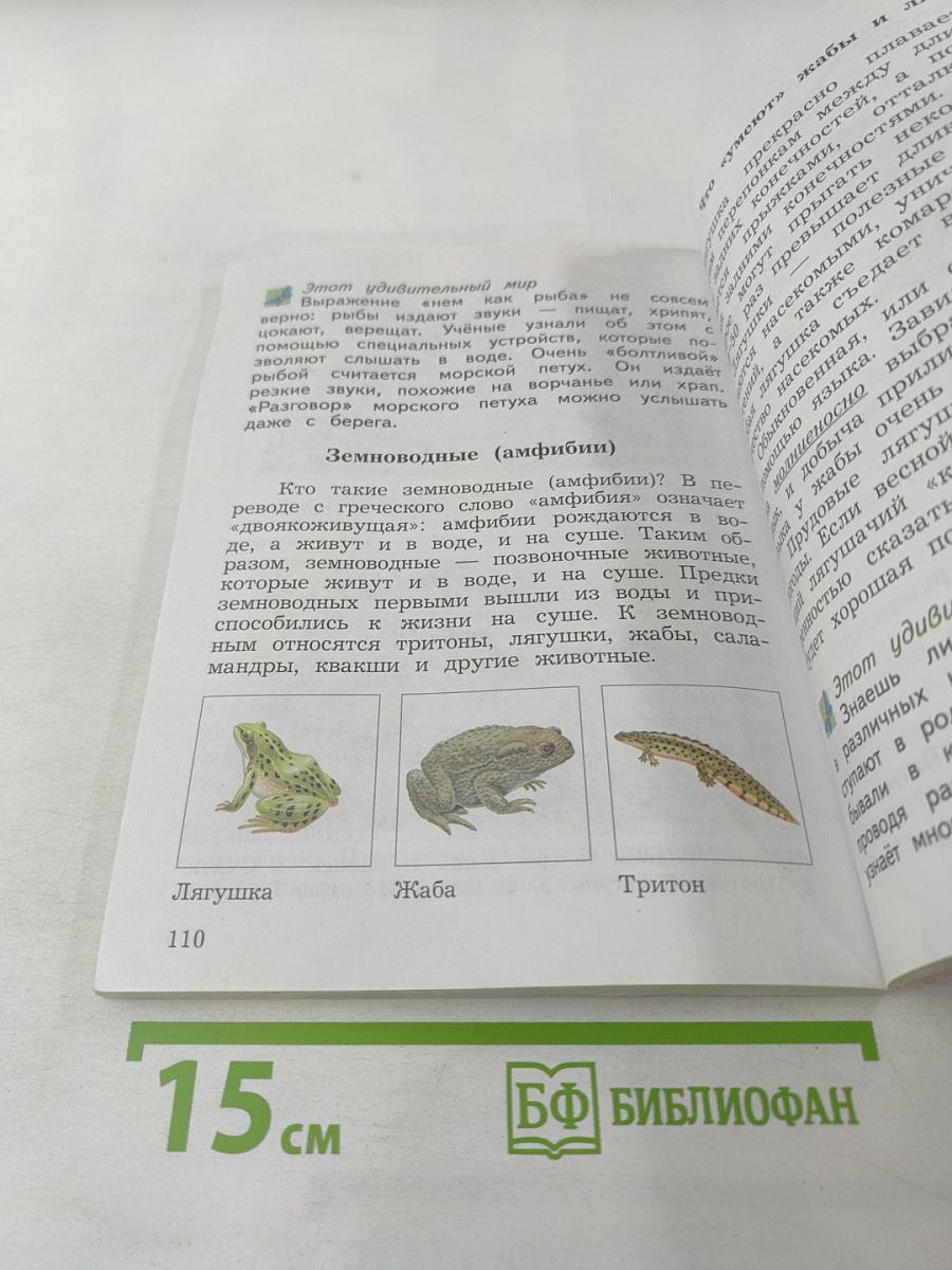 Окружающий мир. 3 класс. Часть первая