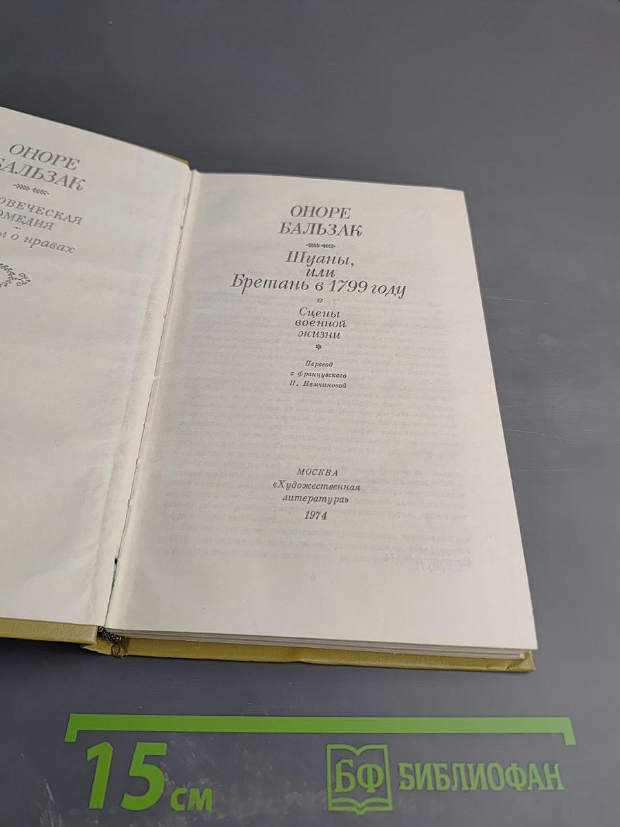 Шуаны, или Бретань в 1799 году