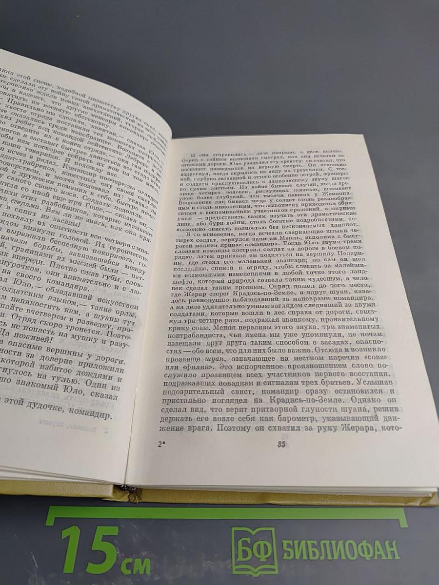 Шуаны, или Бретань в 1799 году