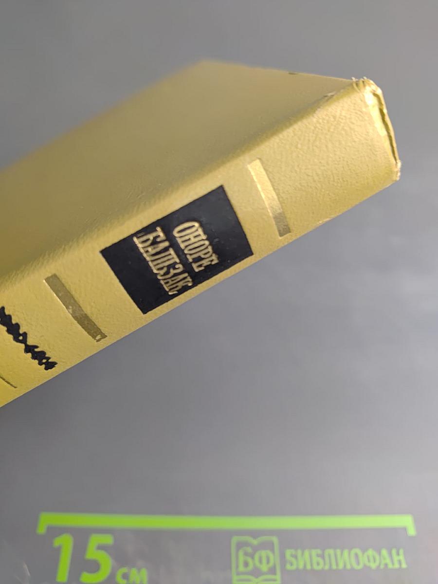 Шуаны, или Бретань в 1799 году